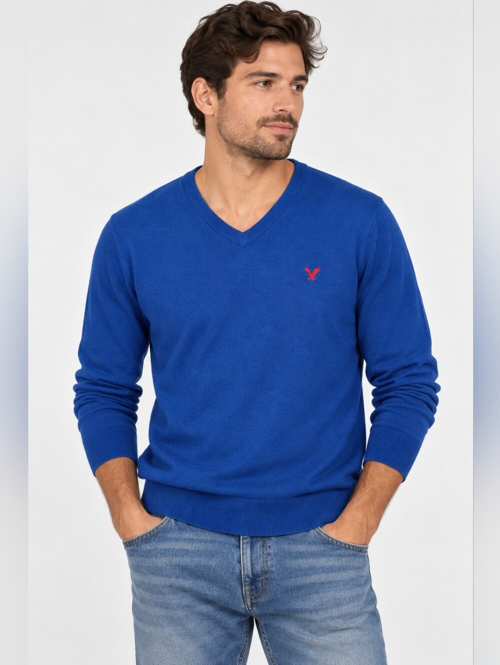 American Eagle Outfitters Royal Blue V-Neck Sweater with Red Logo